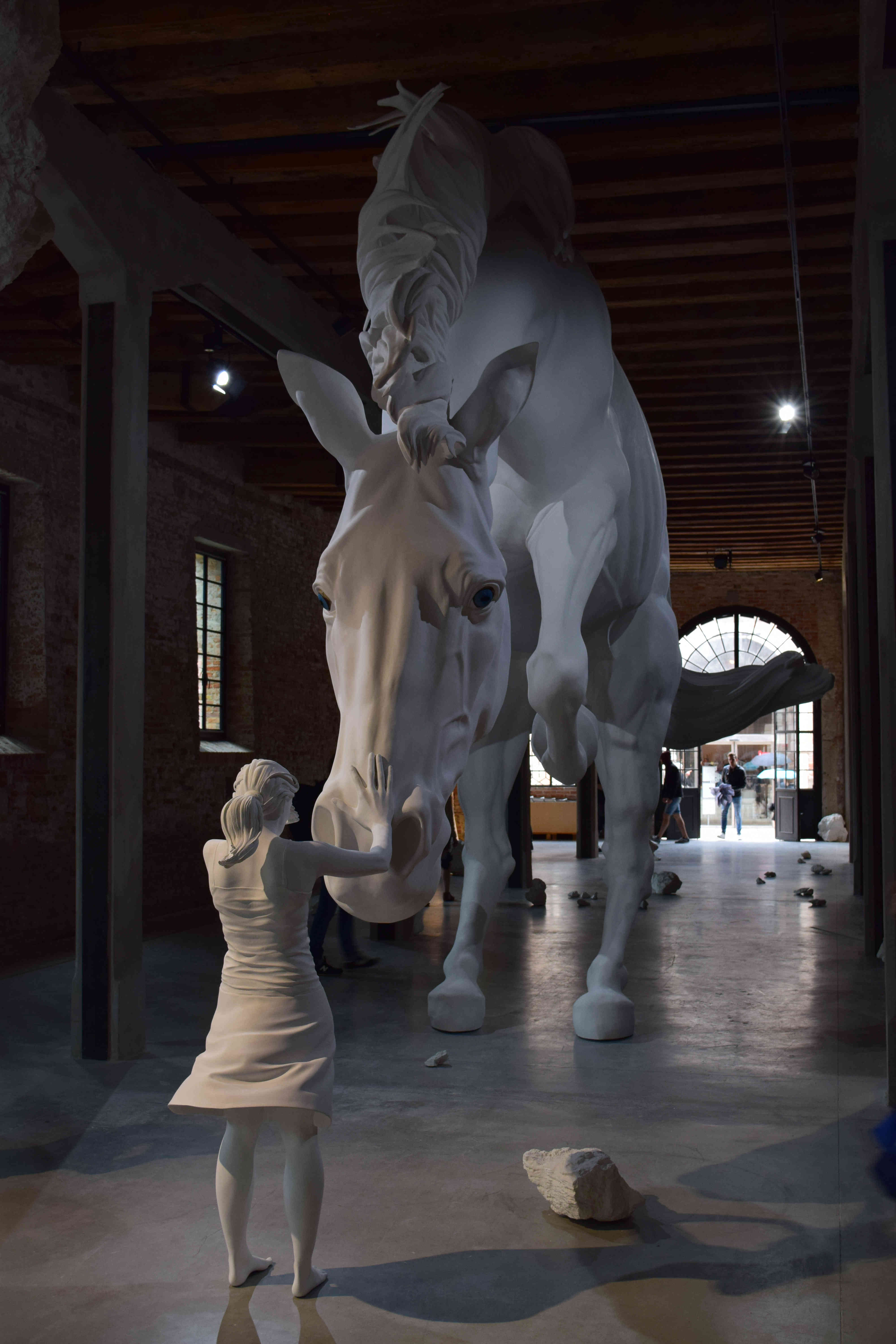 Kunstbiënnale 2017, Argentinië, Claudia Fontes, The Horse Problem, 2017